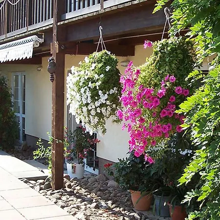 Отель Lindengarten